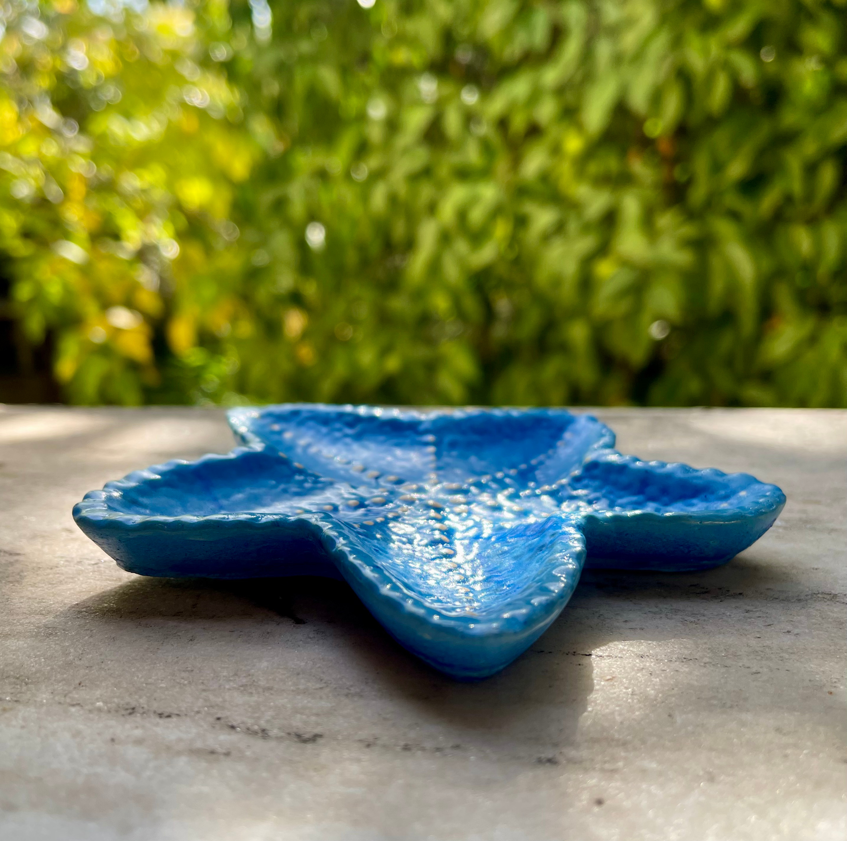 Starfish Bowl