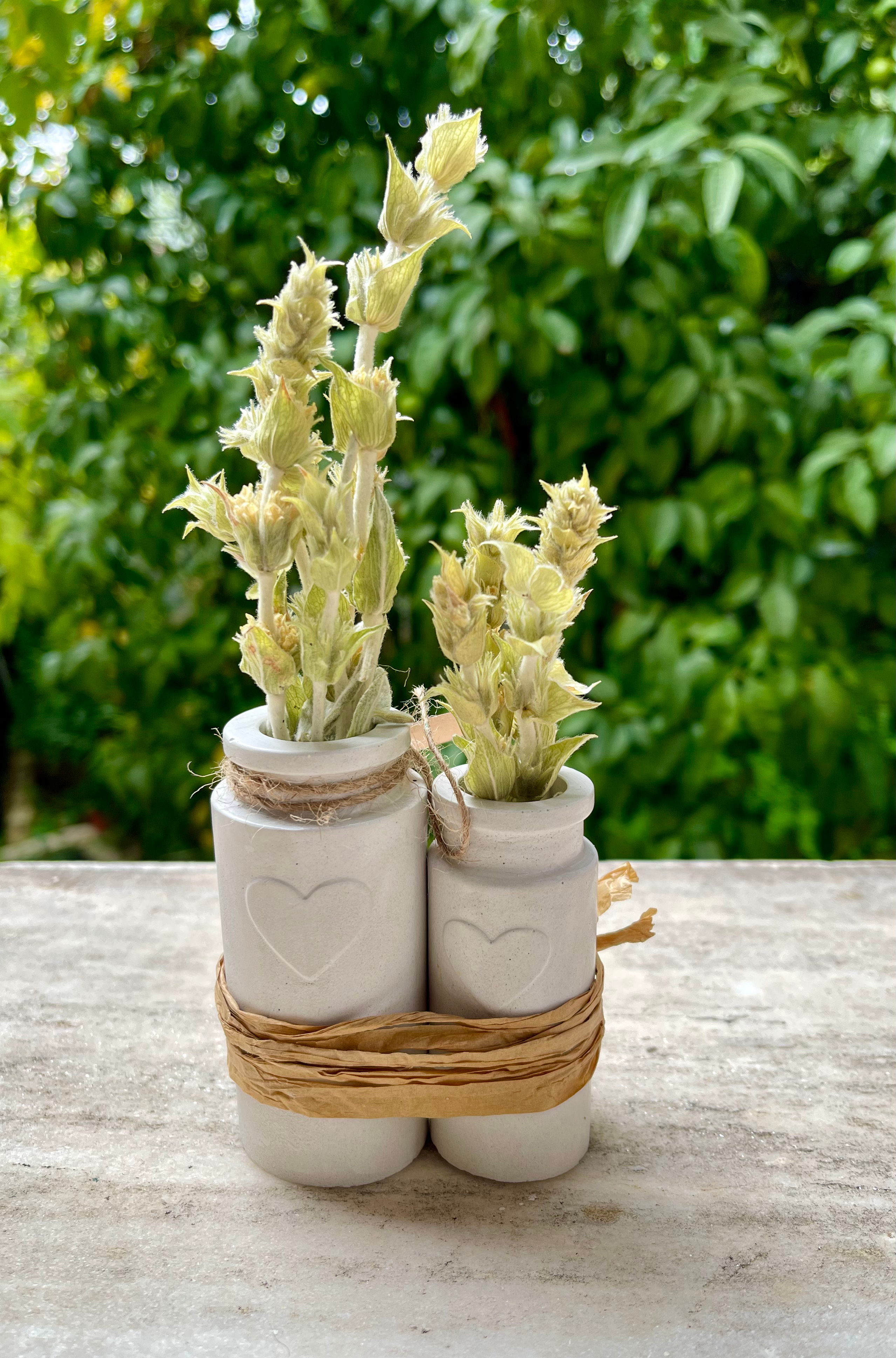 Set de Petits Vases Blancs 