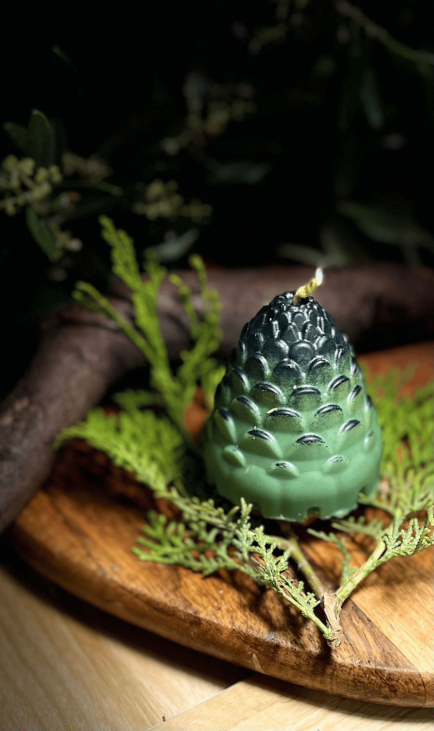 Essence of the Forest