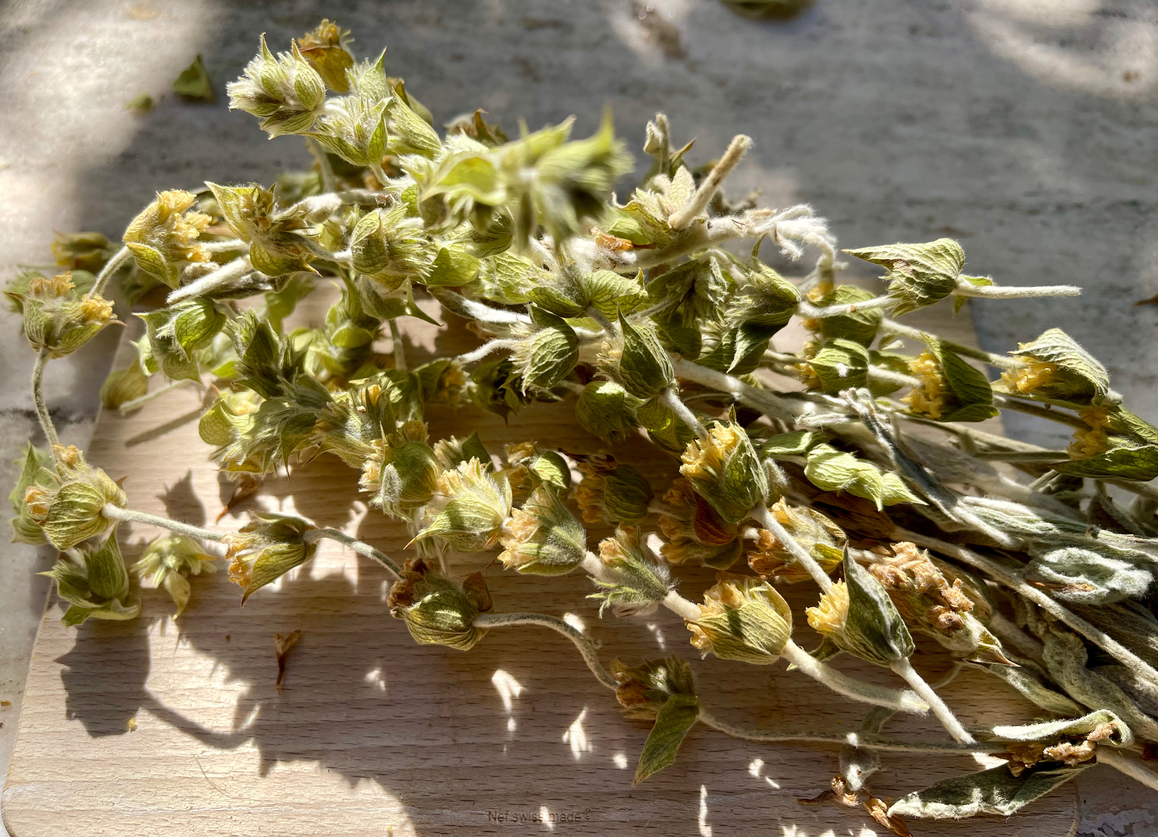 Thé Grec des Montagnes