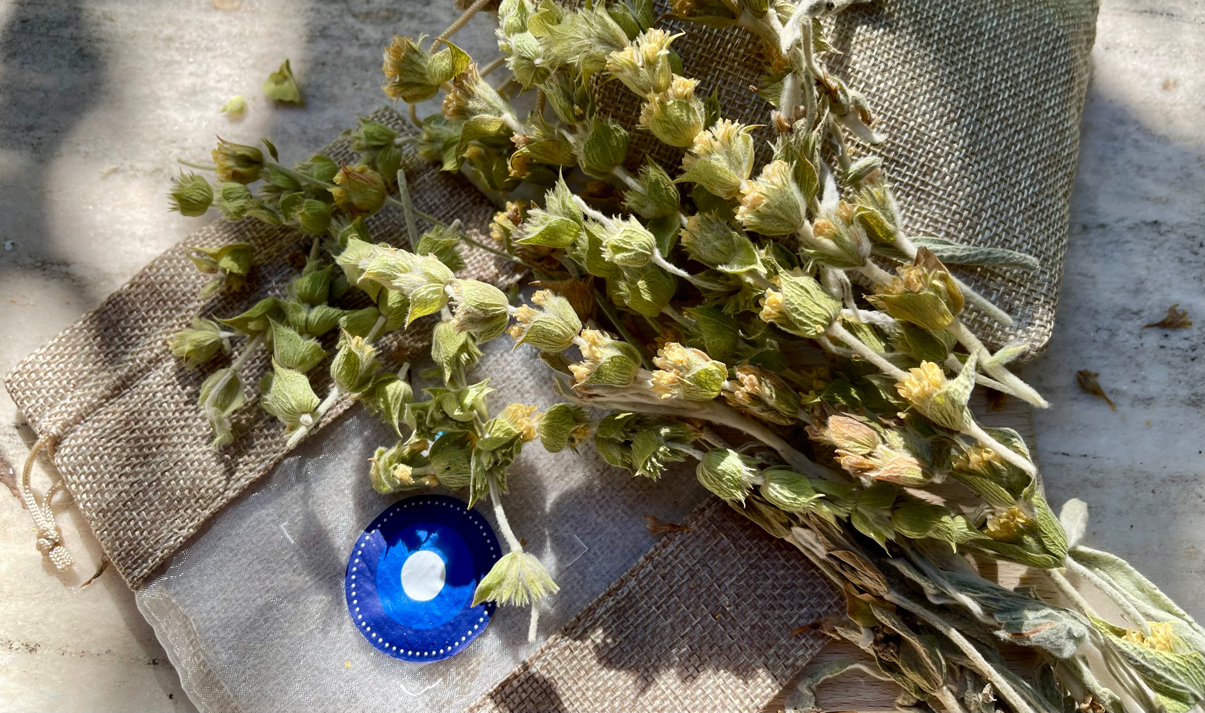 Thé Grec des Montagnes