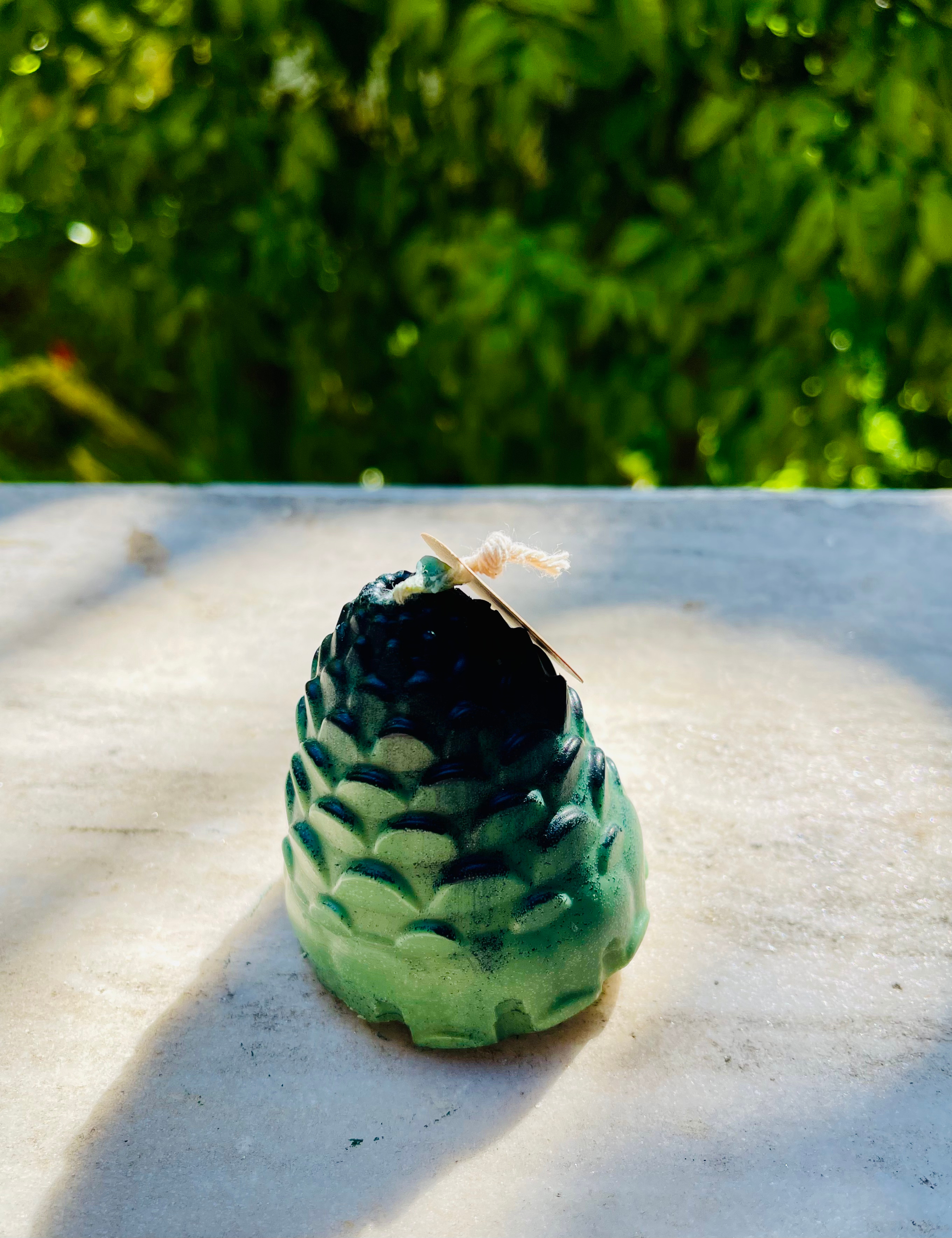 L'Essence de la Forêt