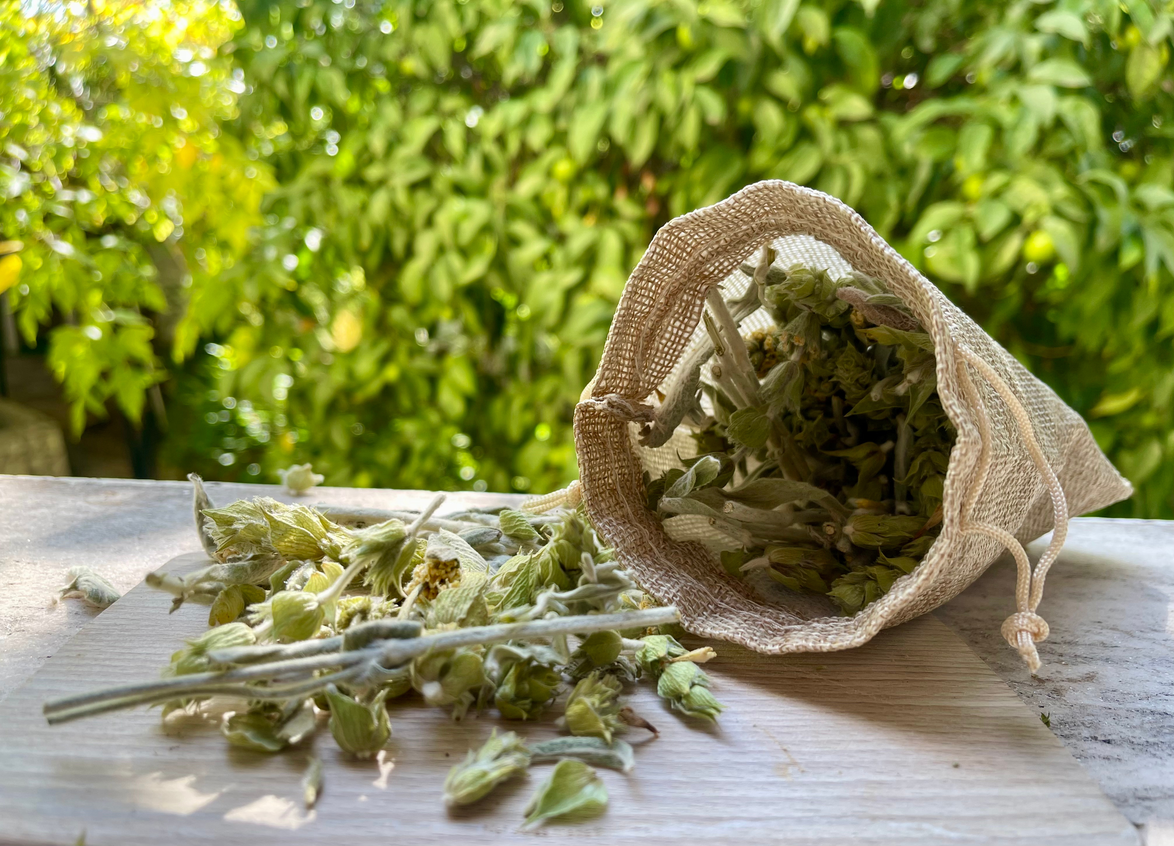 Thé Grec des Montagnes