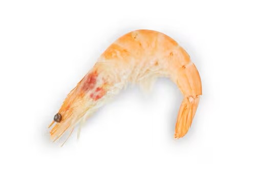 Arctic Royal Whole Cooked Crevettes 2kg nett