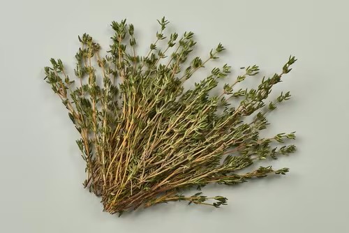 Herb Bunched Thyme 100g