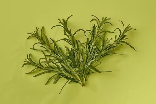 Fresh Rosemary 100g