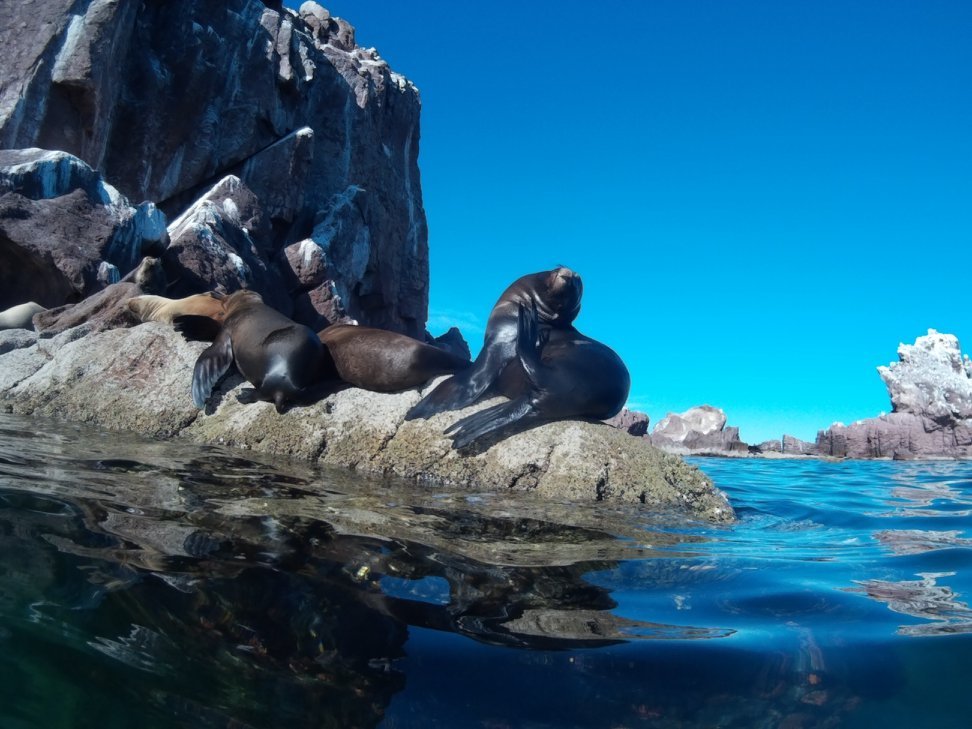 PAQUETE HOTEL + TOUR ISLA ESPÍRITU SANTO