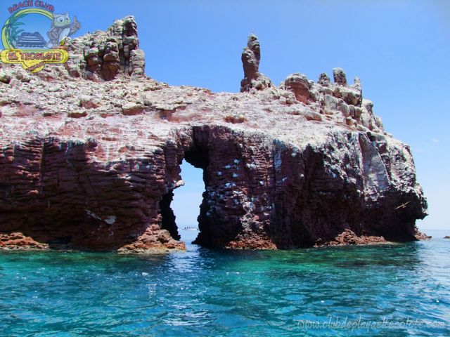 Tour Isla Espíritu Santo – Aventura y Naturaleza en La Paz