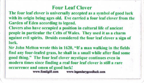 Four Leaf Clover Card