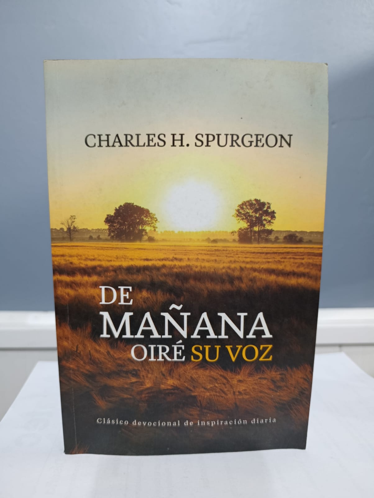 De Mañana Oiré Su Voz