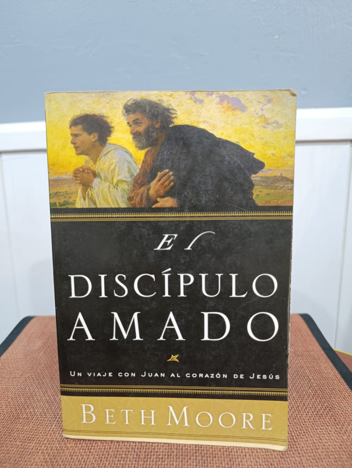 El discípulo amado