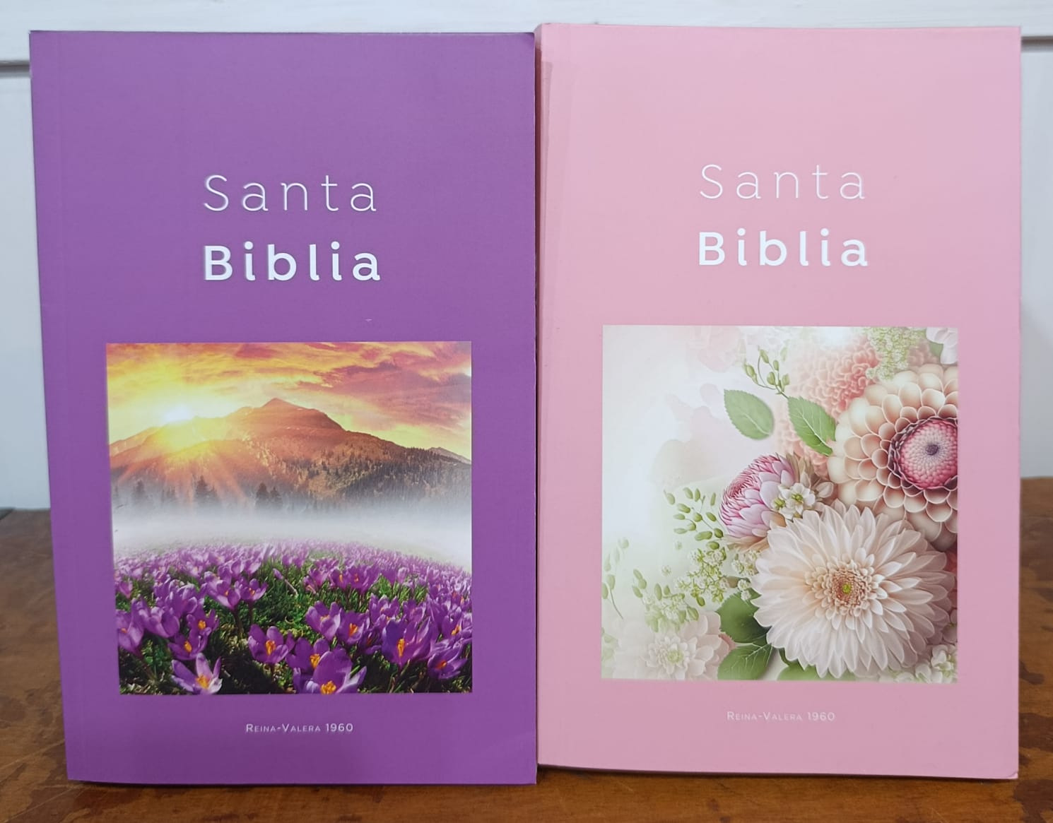 Santa Biblia