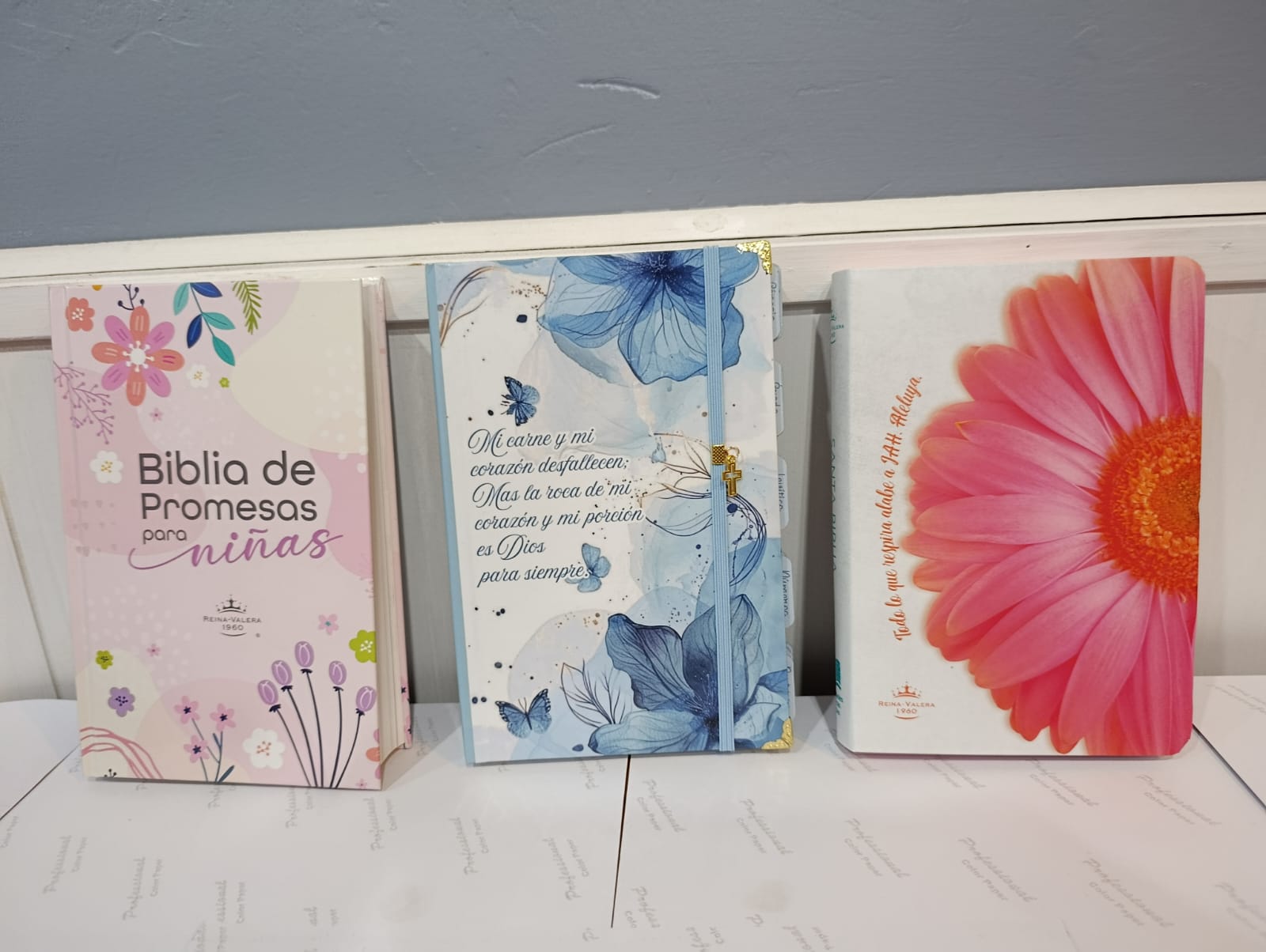 Biblia de Promesas para niñas