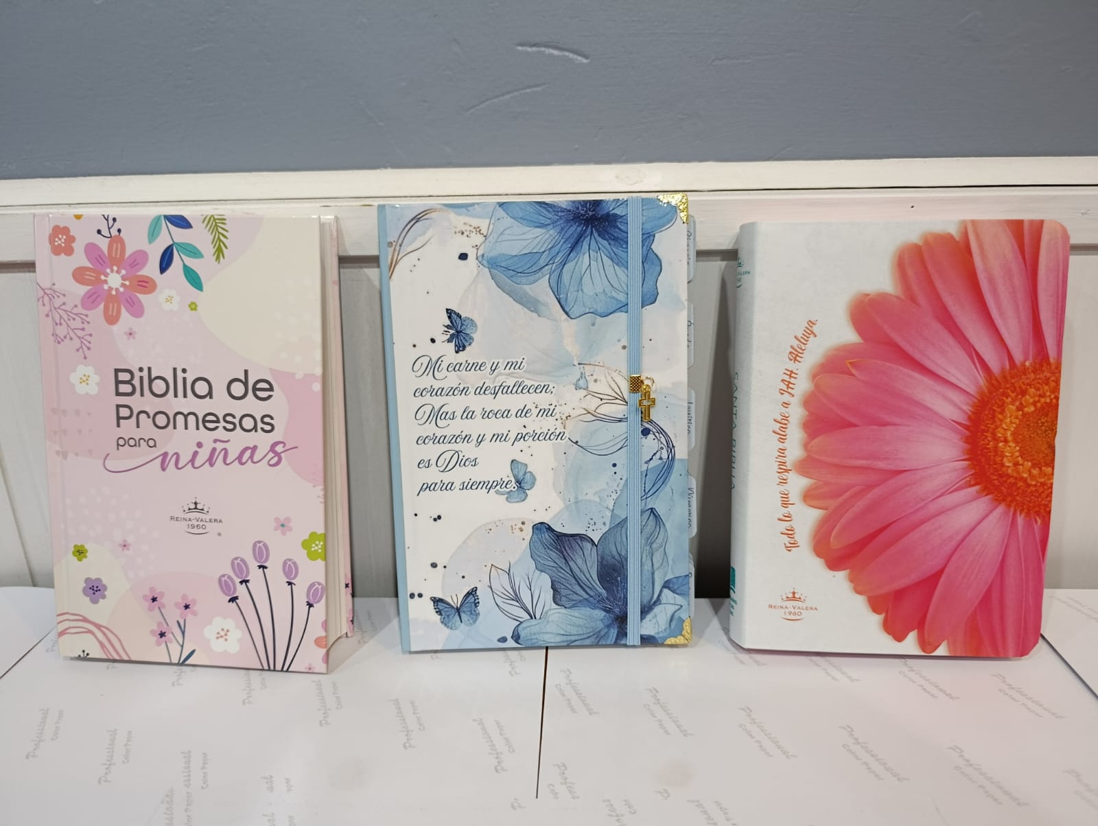 Biblia de Promesas para niñas