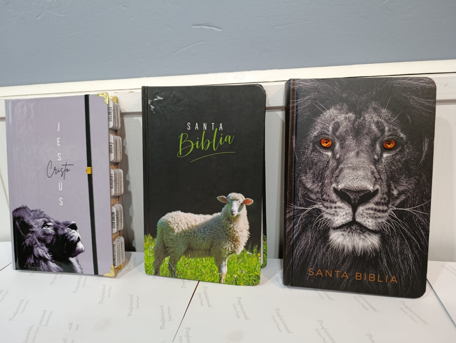 Santa Biblia con portada de león