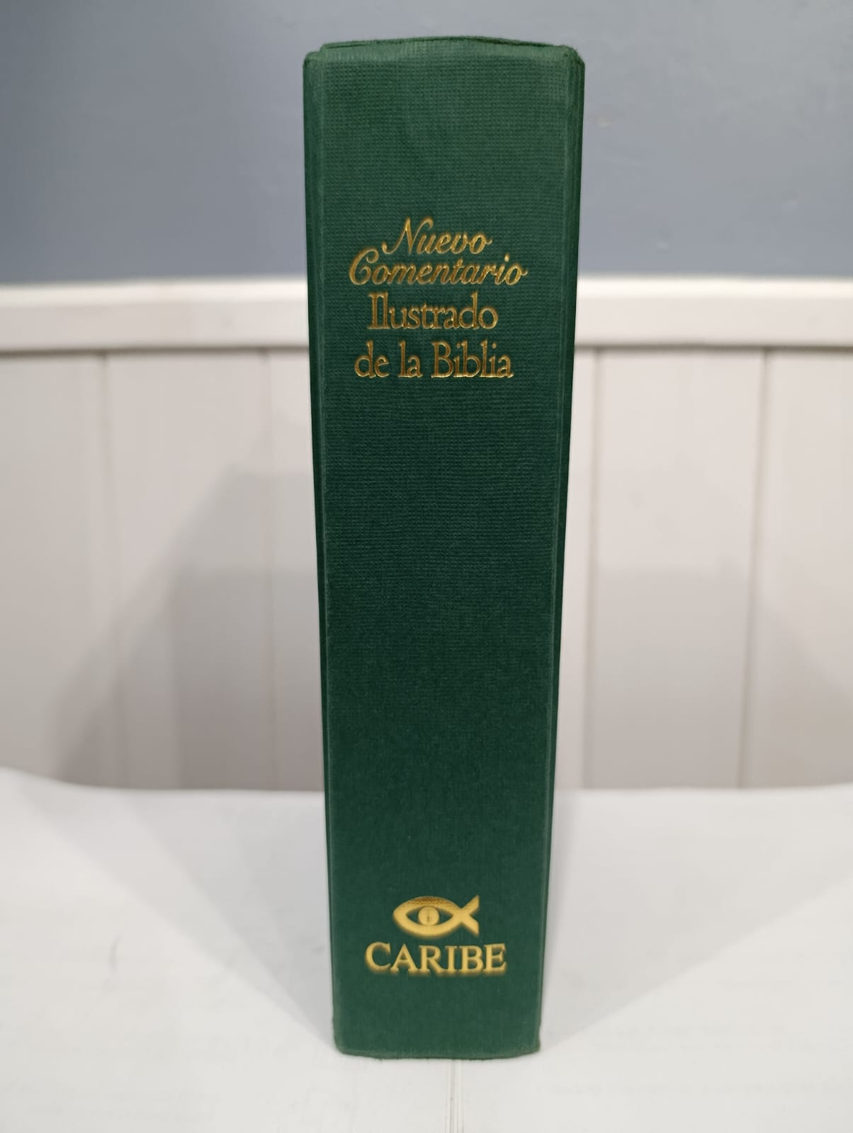 Nuevo Comentario Bíblico Ilustrado