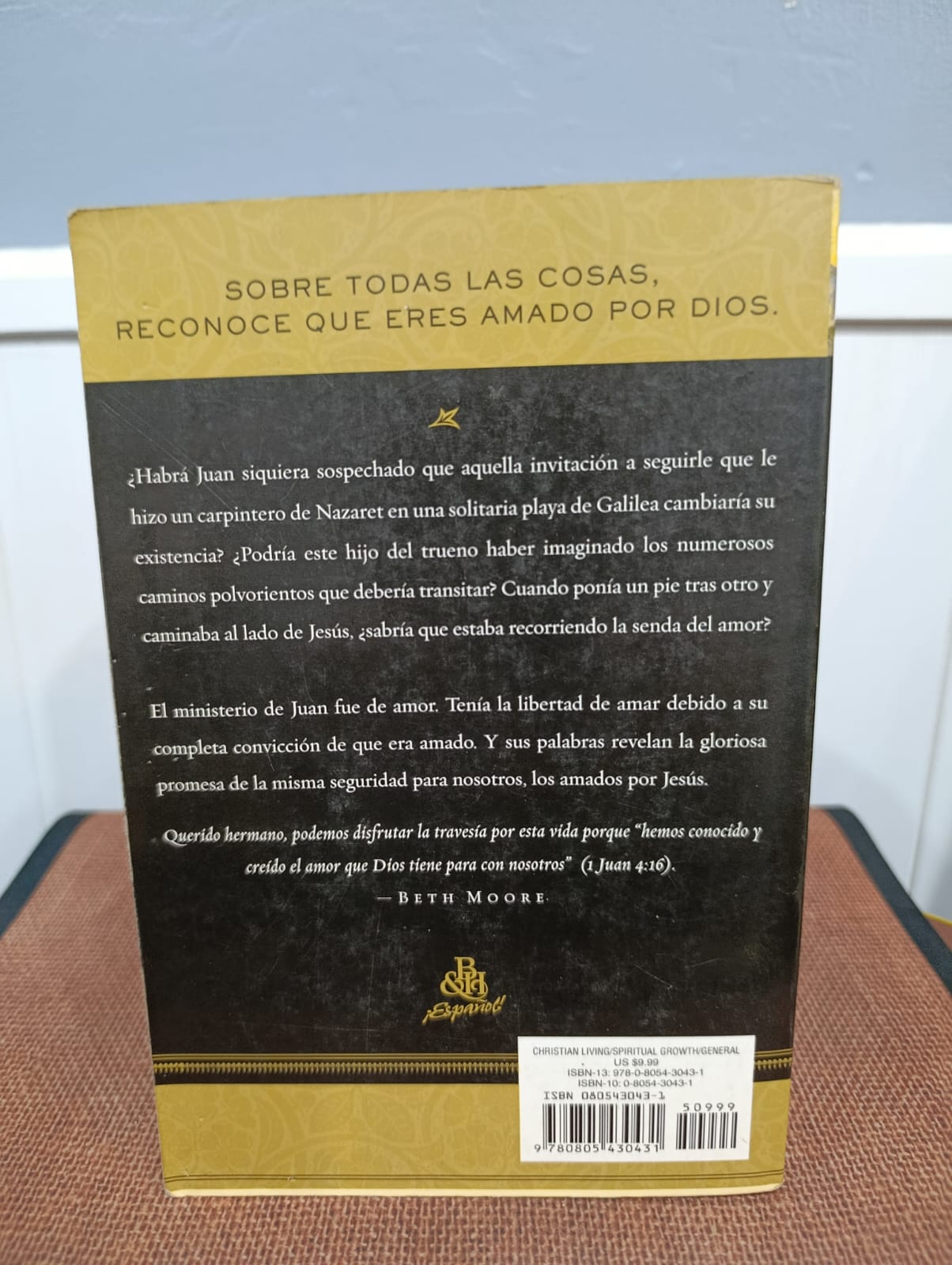 El discípulo amado