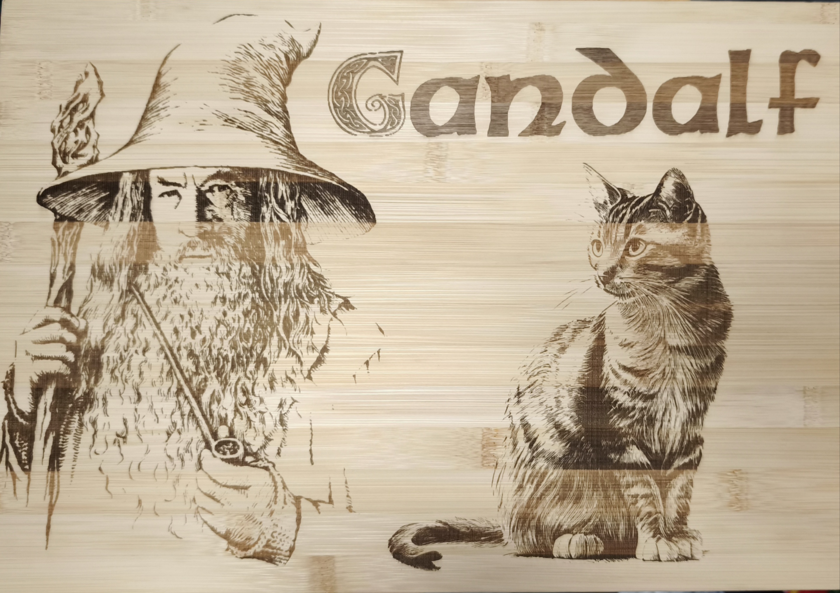 Tableau en bois Gandalf et chat