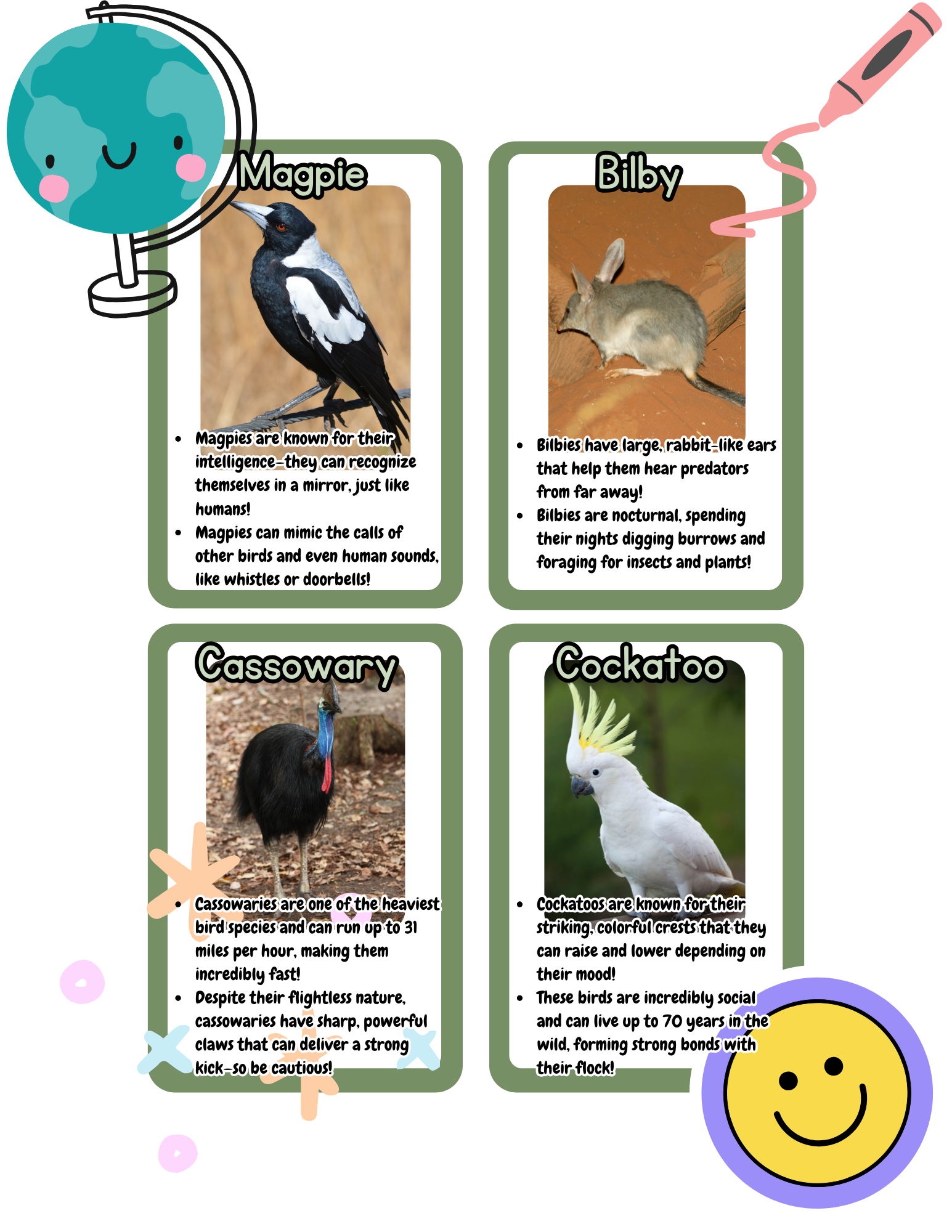 Australian Animal Flashcards