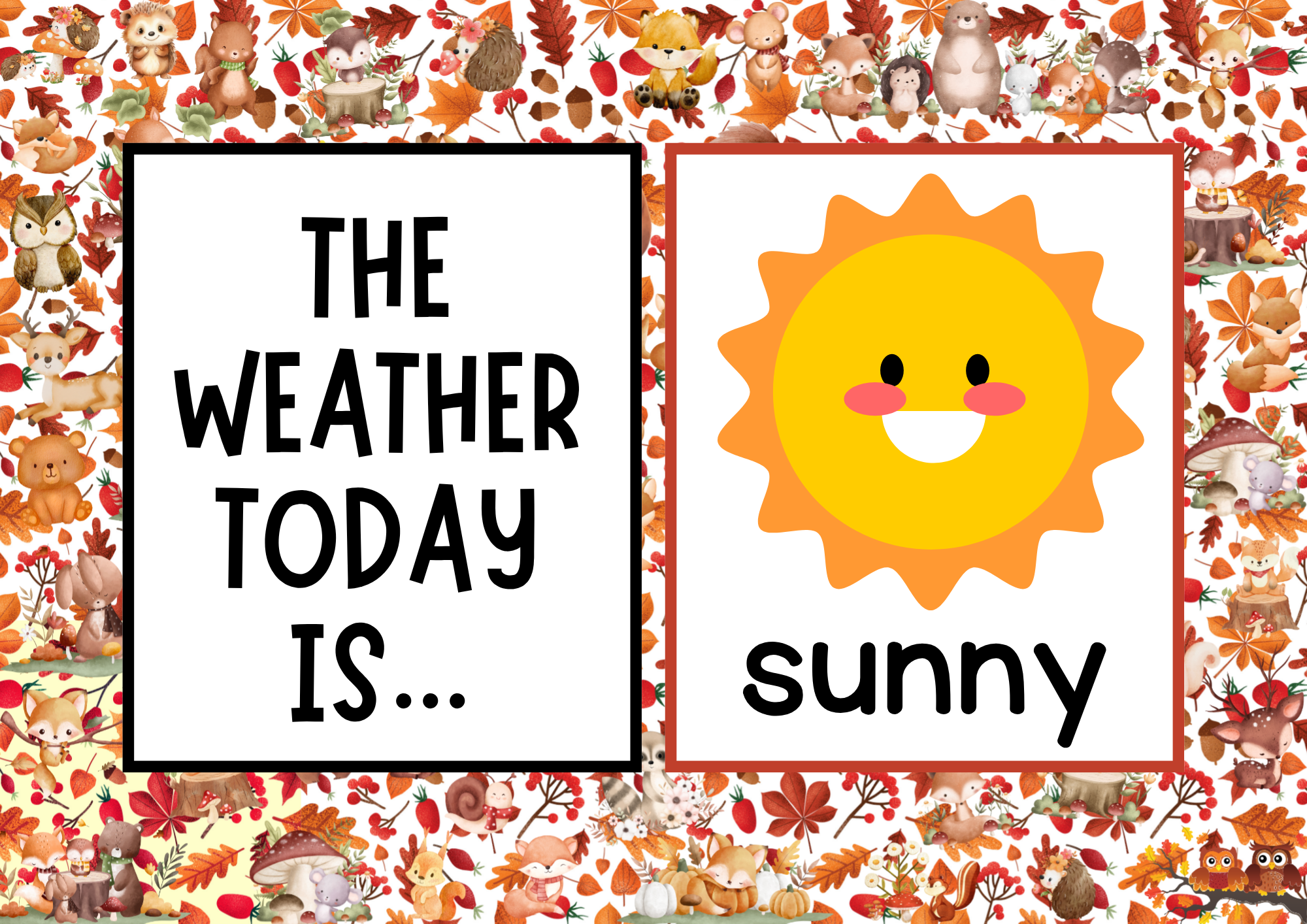 Fall Circle Time Weather Chart Flashcards