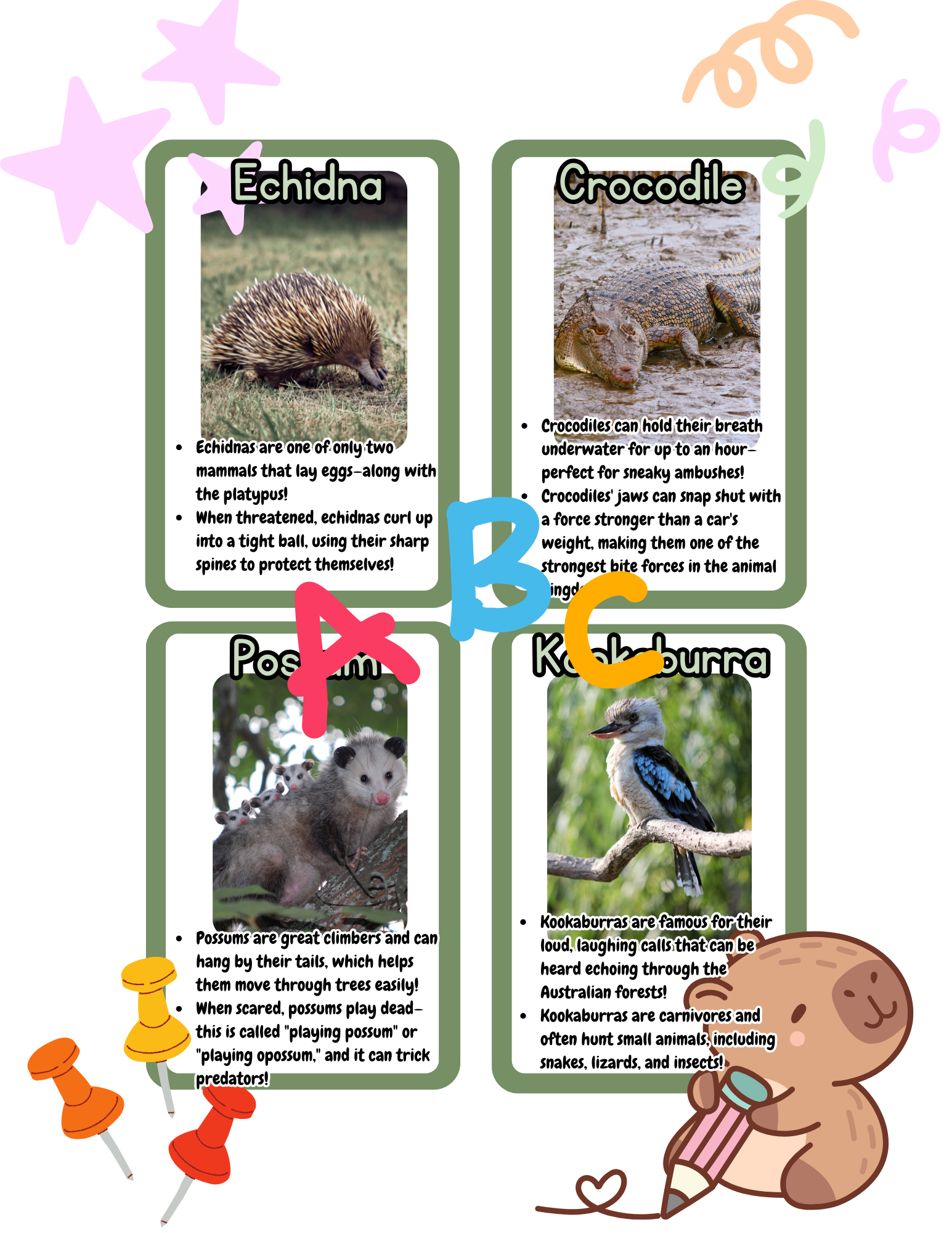 Australian Animal Flashcards