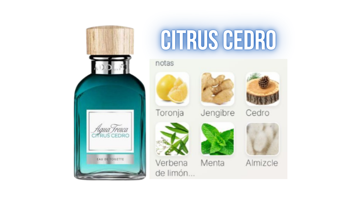 Set Verano Diseñador