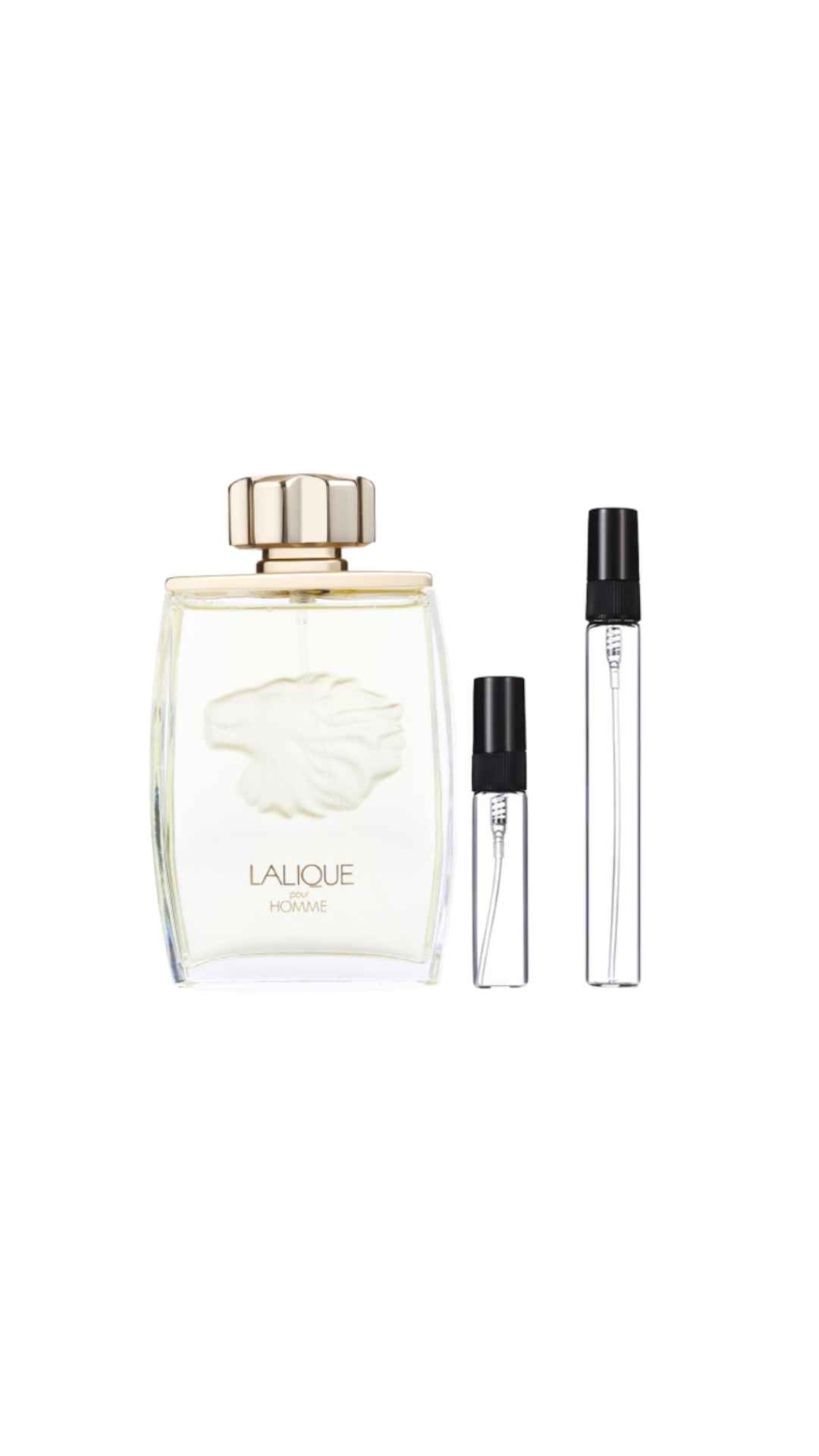 Lalique Pour Homme 