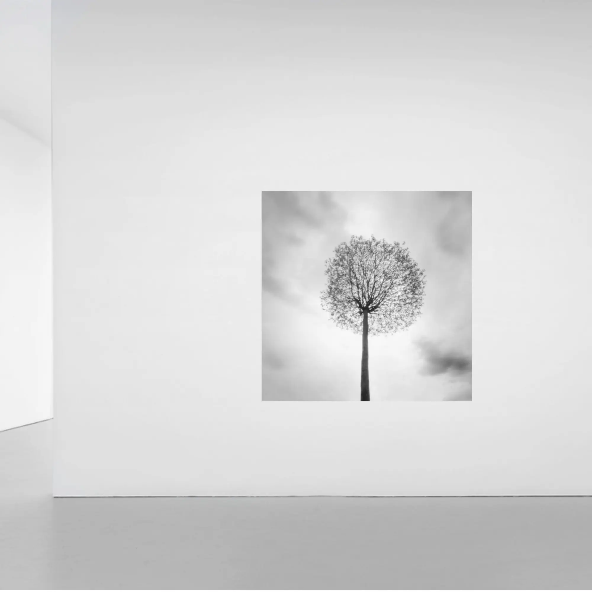 Pinhole XIX