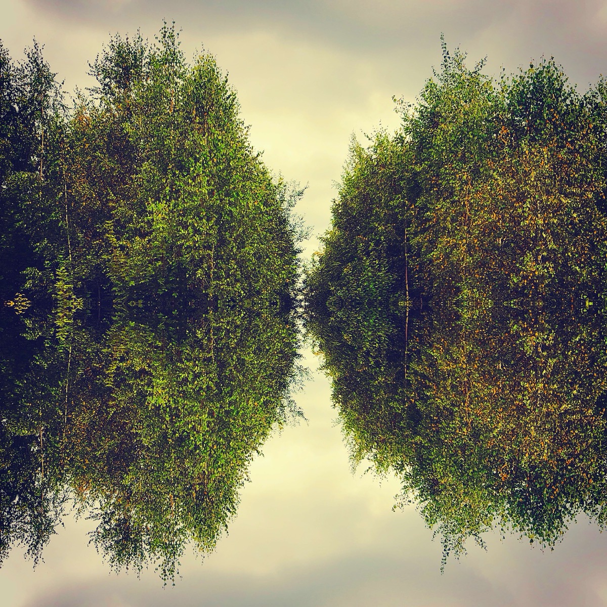 Green Tranquility