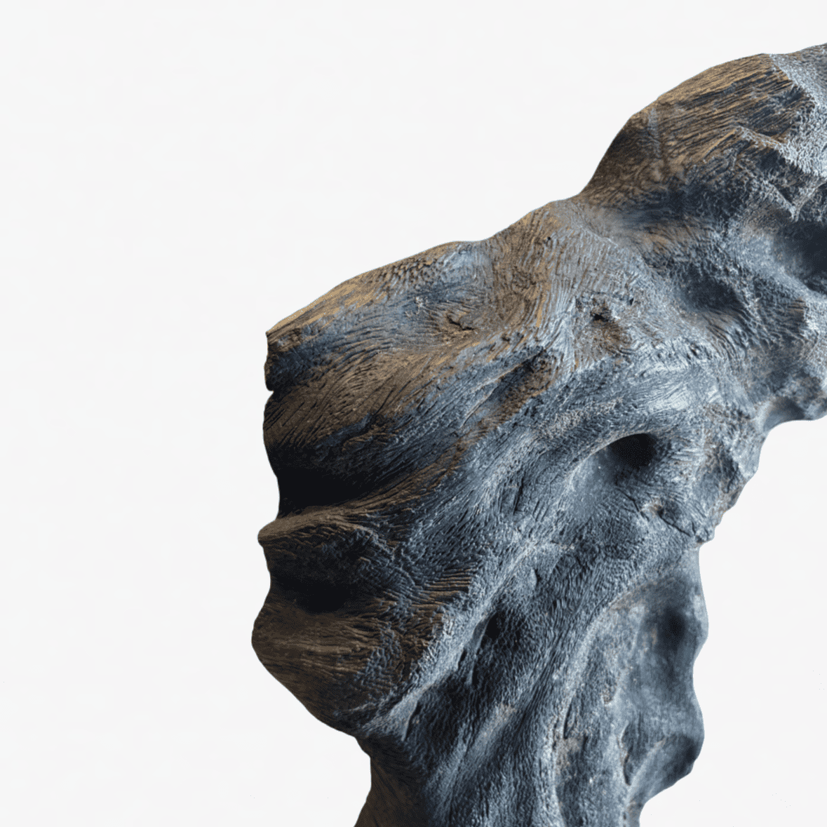 Organic Driftwood Sculpture