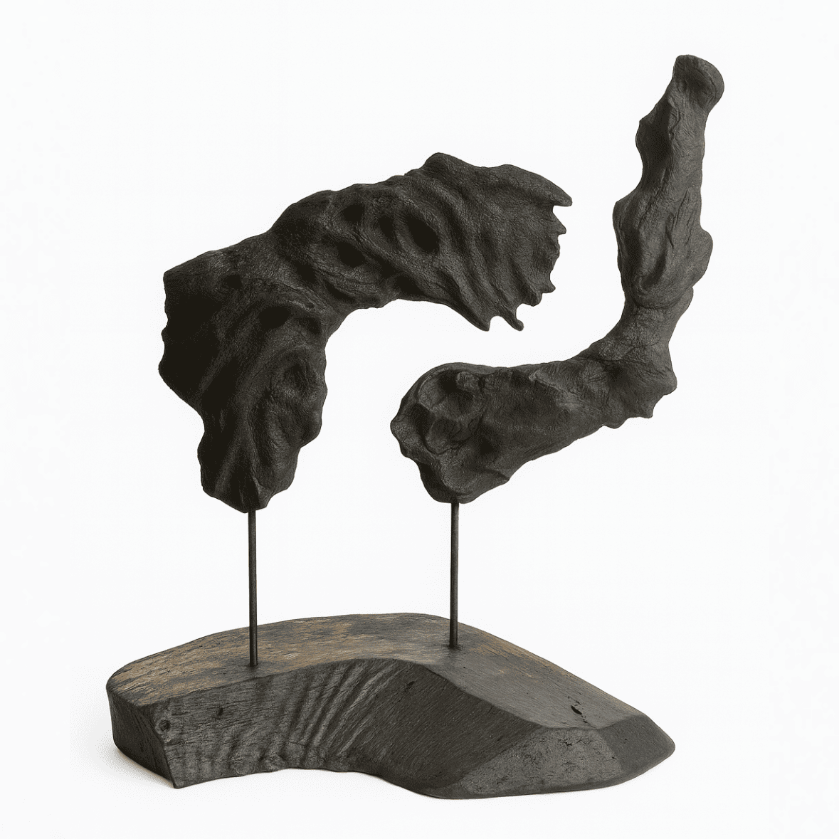 Organic Driftwood Sculpture