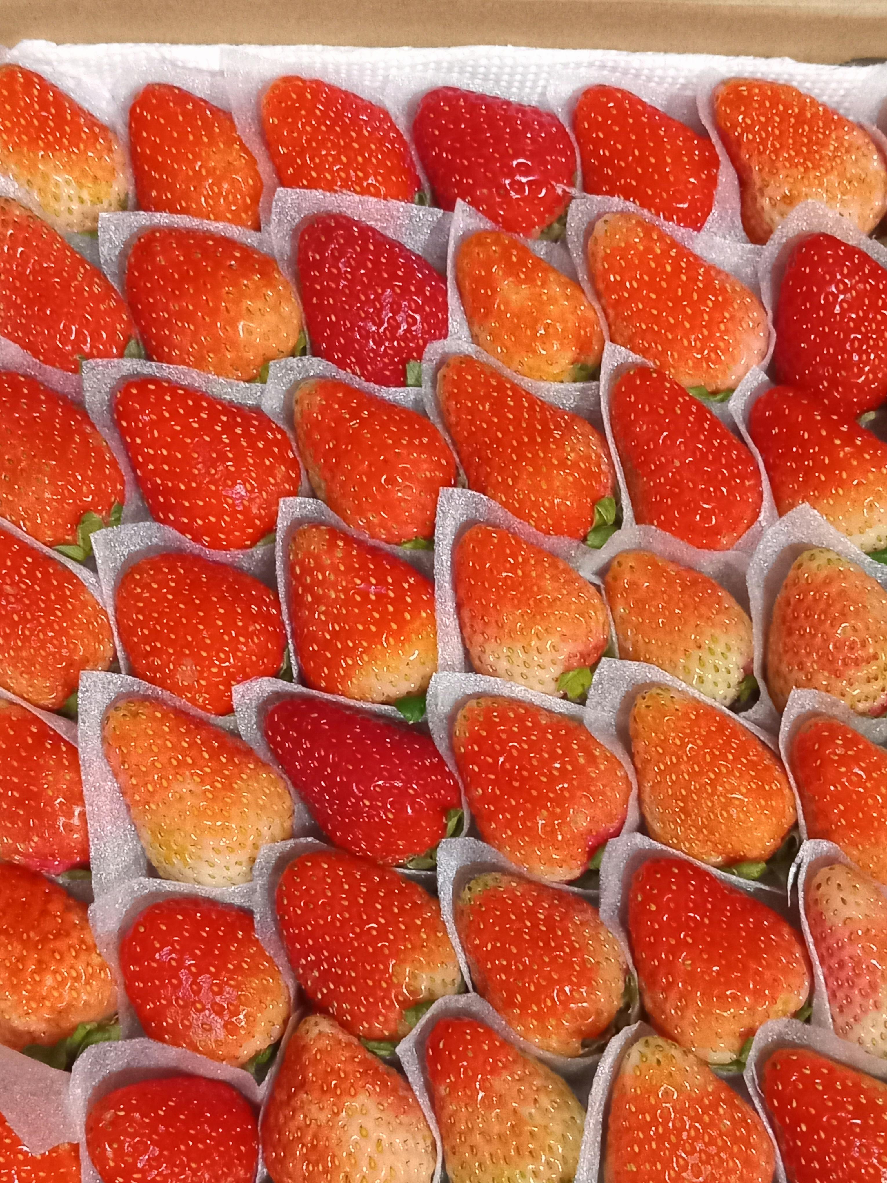 Fresh Strawberries