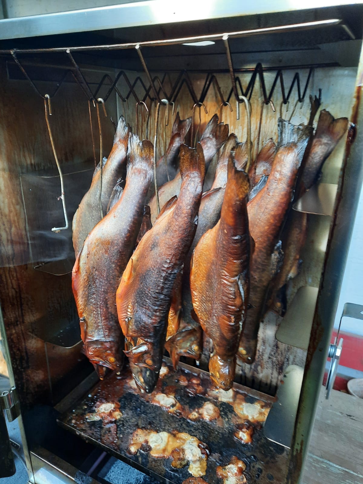 Regenbogenforelle Geräuchert 