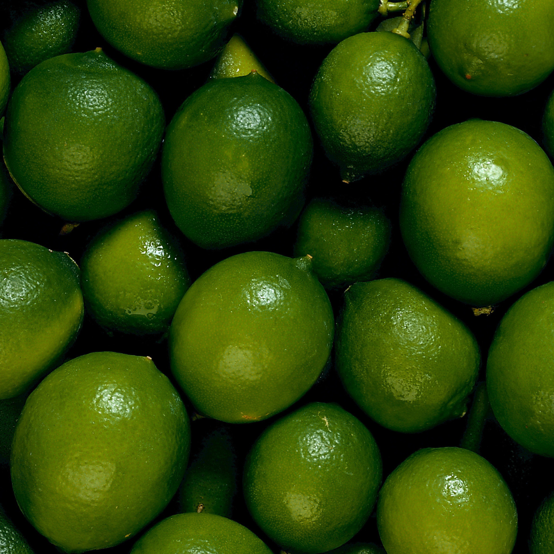 Premium Dried Lime Slices