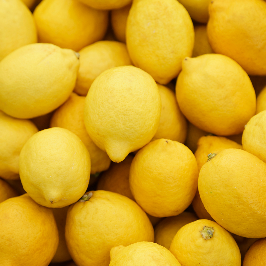 Premium Dried Lemon Slices