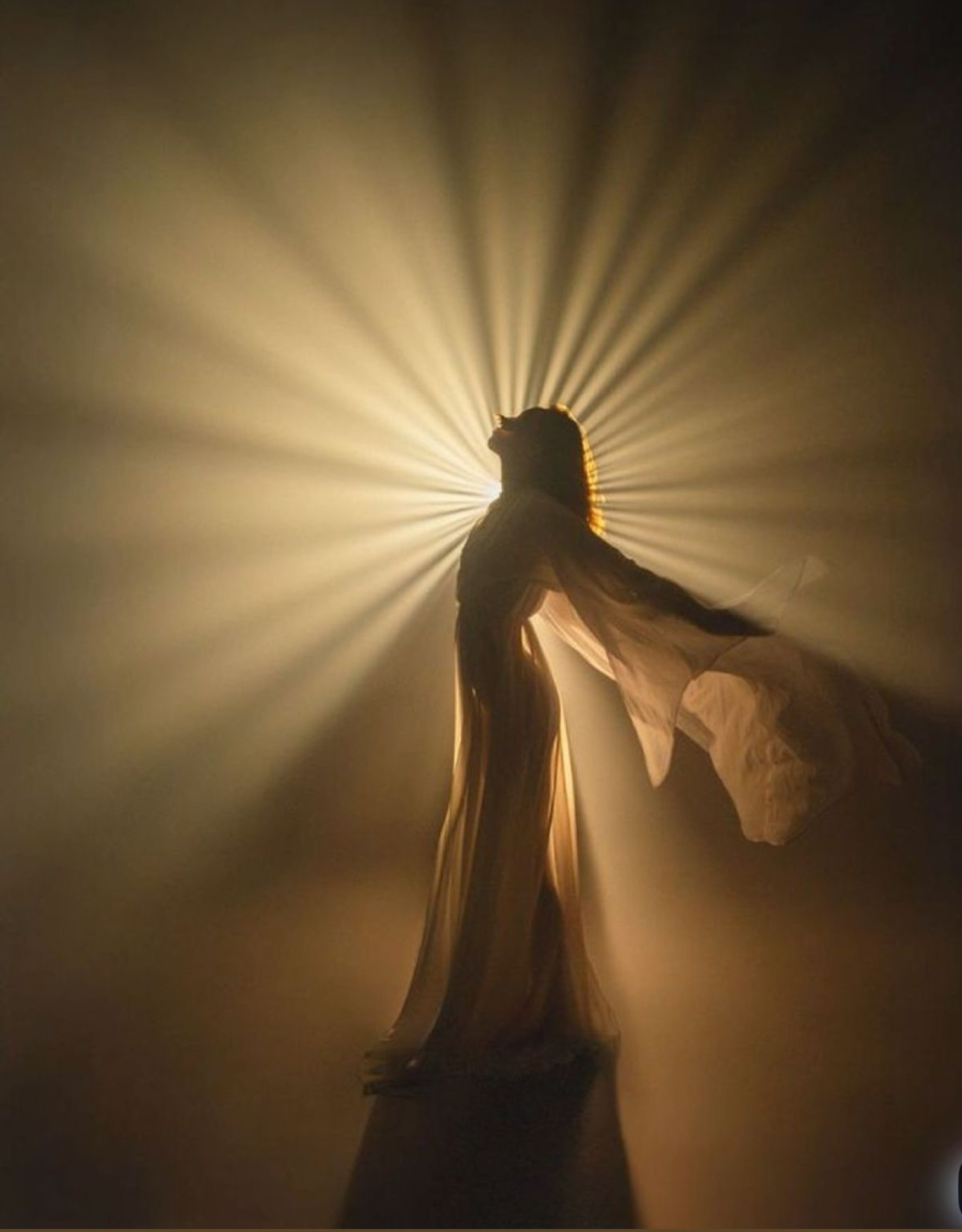 Asmeninė konsultacija iki 1.5val.