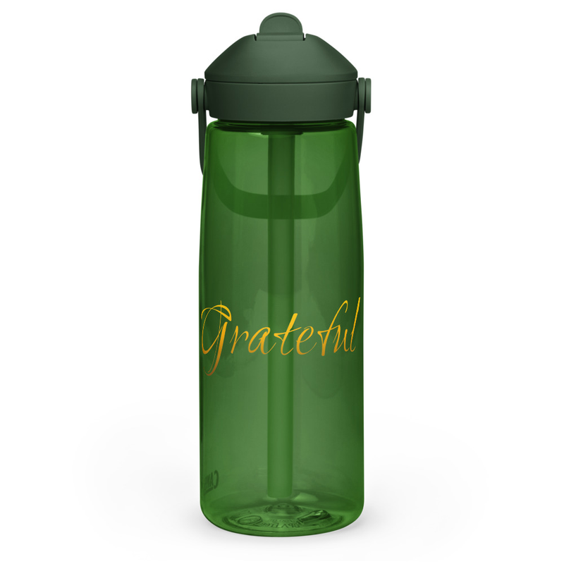 Grateful CamelBak Flip straw water bottle