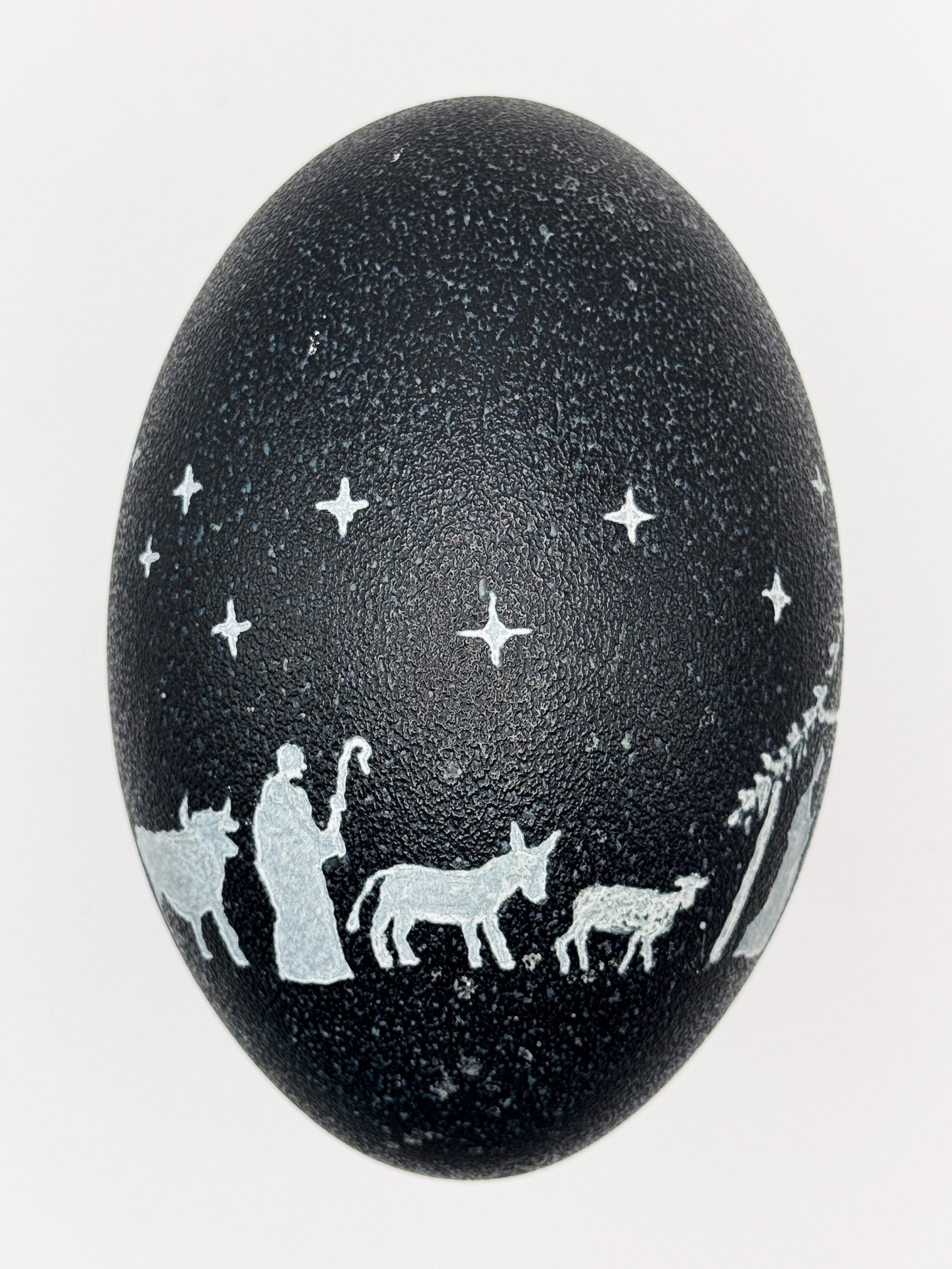 "The Light in the Manger" Nativity Scene Hand Carved Emu Egg