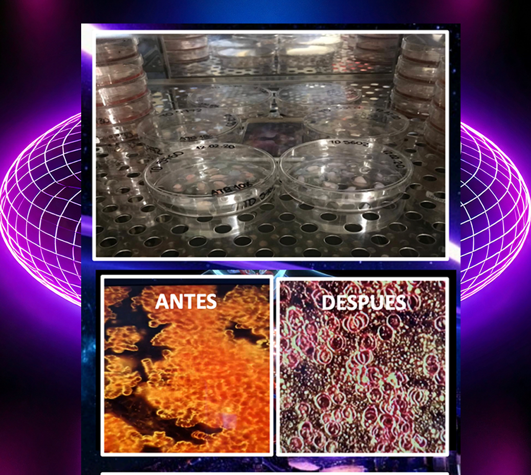 Pack de 4 Tarjetas Cuánticas 12.0 – Promo Estelar