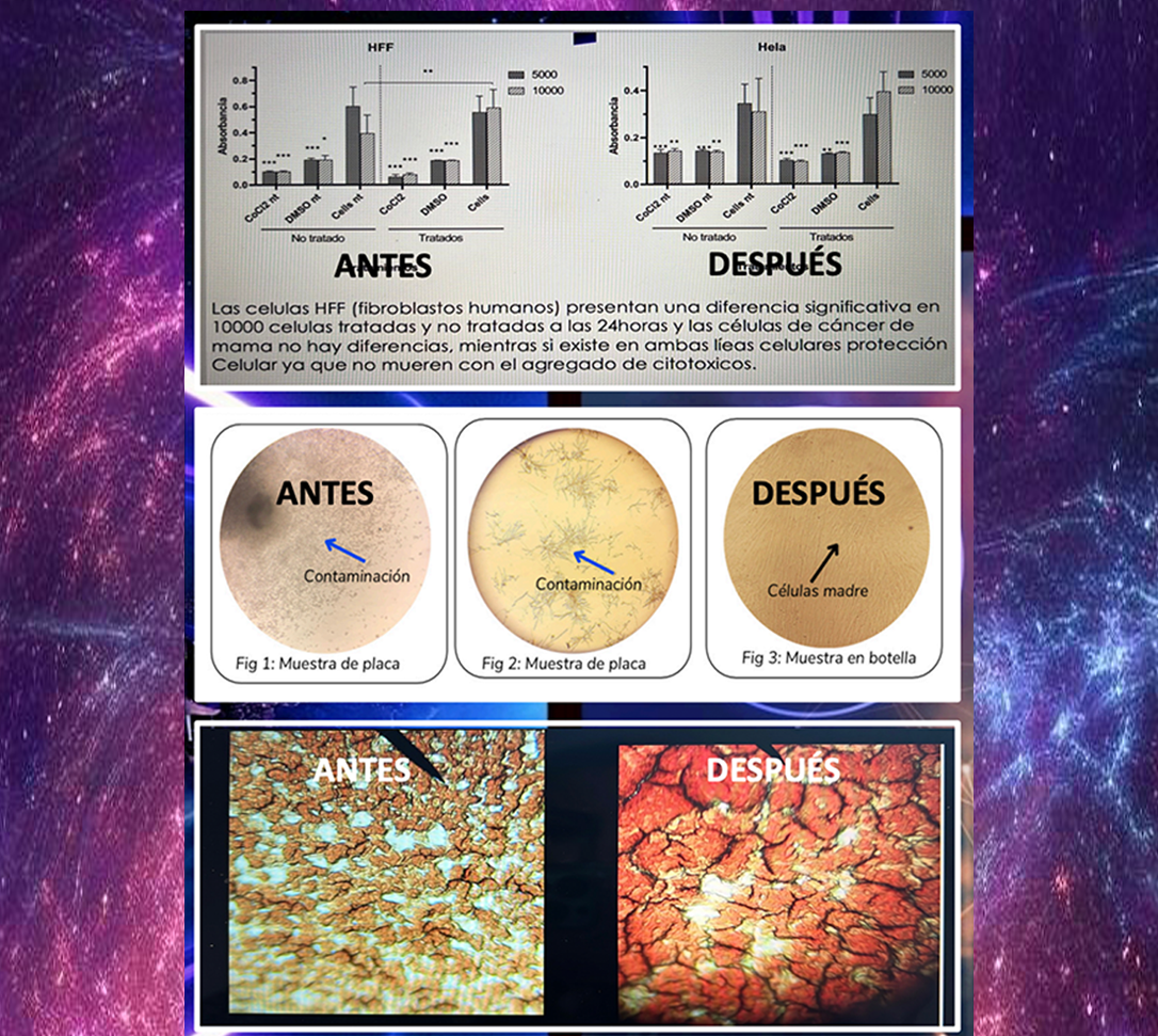 Pack de 4 Tarjetas Cuánticas 12.0 – Promo Estelar