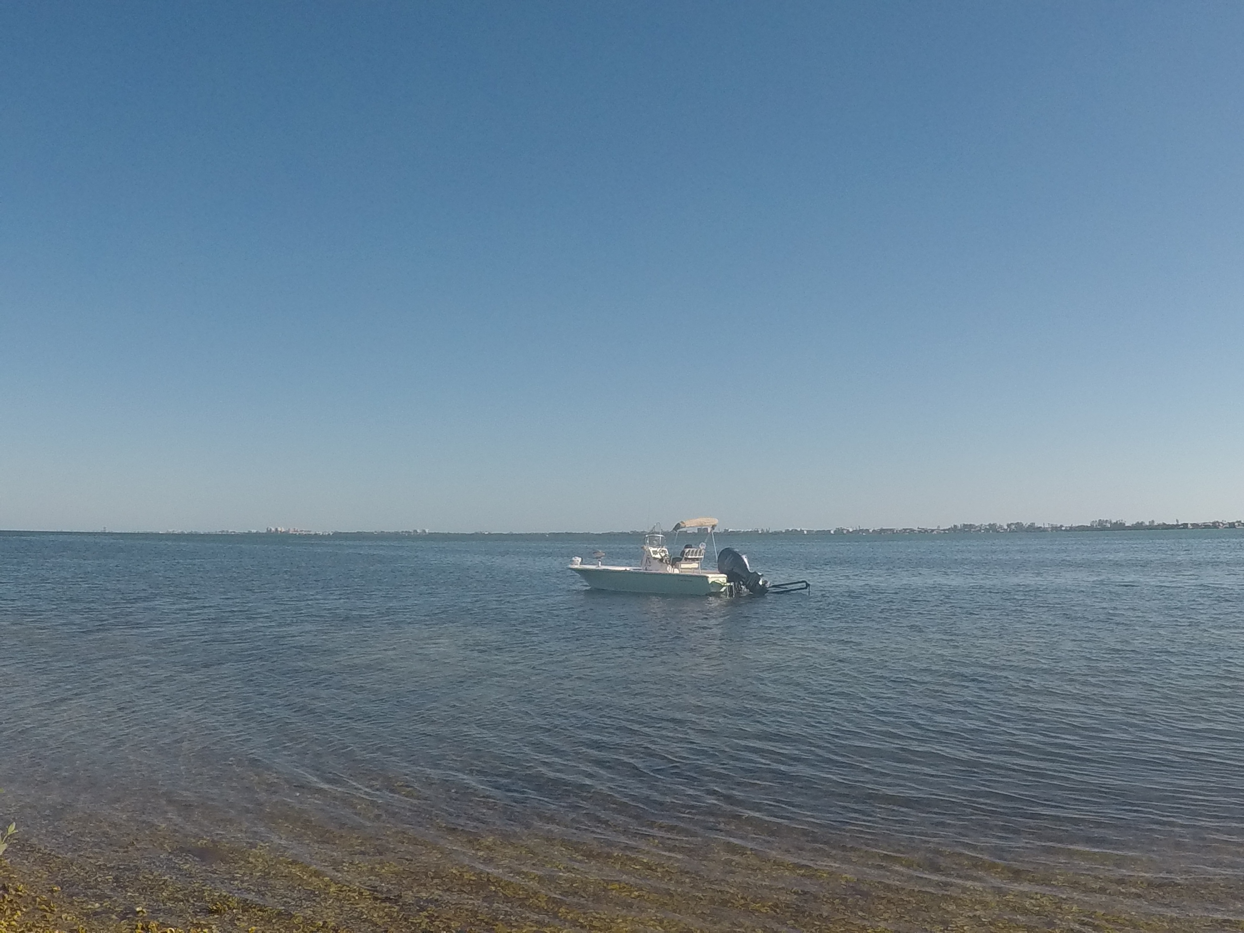 Snorkeling / Sandbar Charter