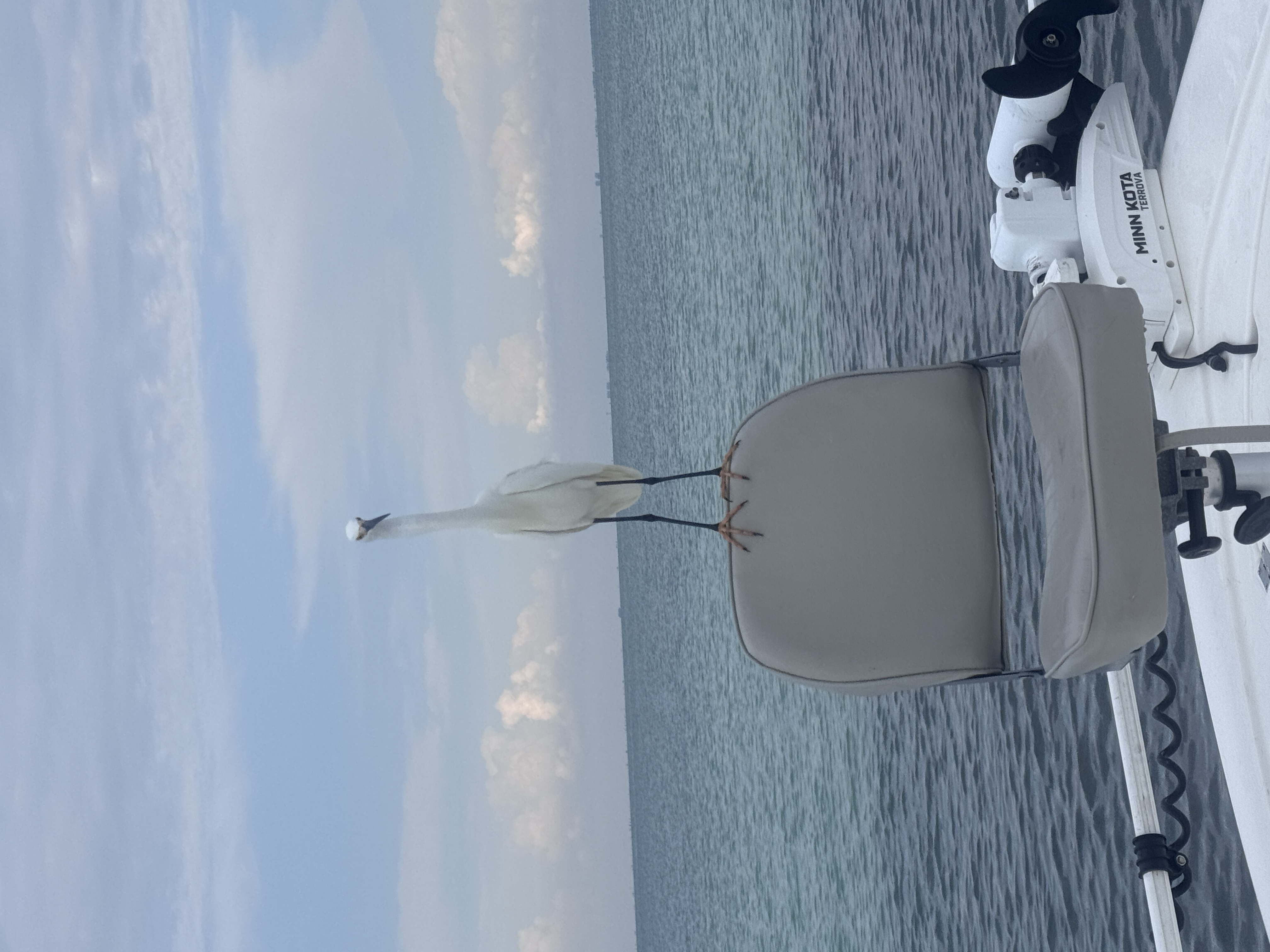 Offshore Full day