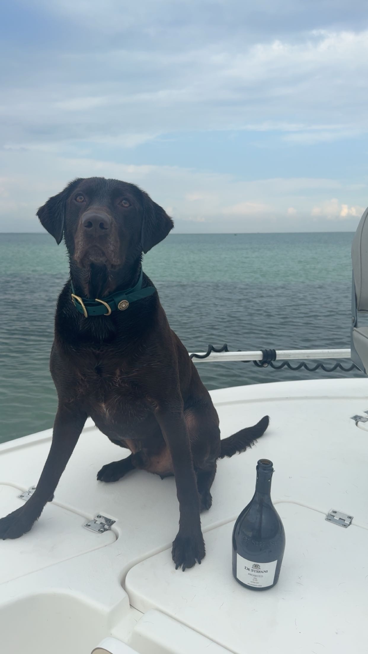 Inshore Full day