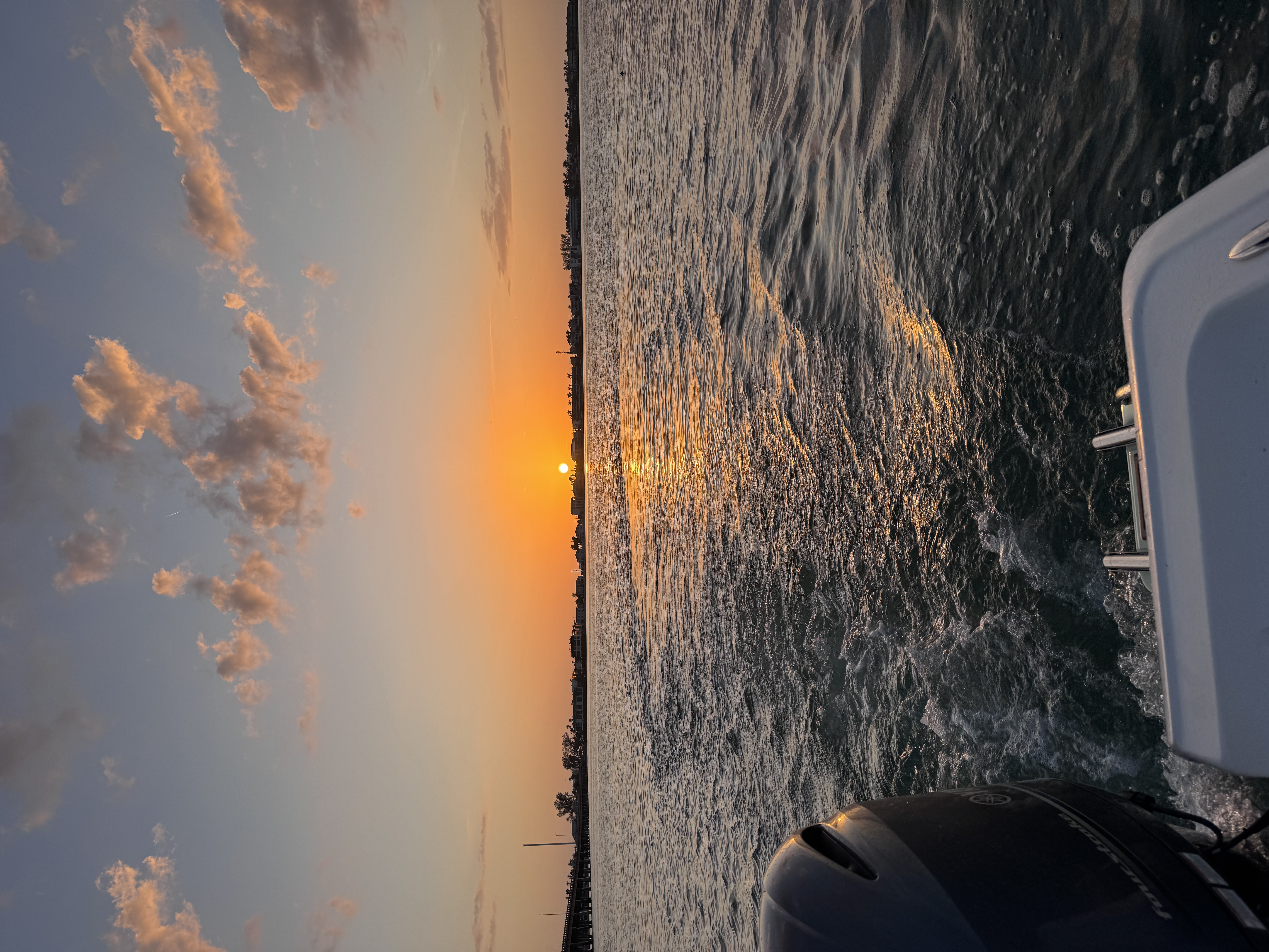 Sunset tour / dolphin cruise