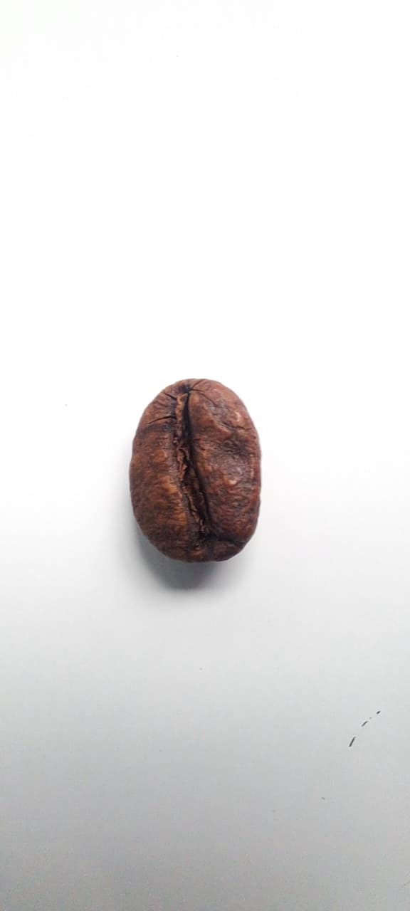 Coffee Bean