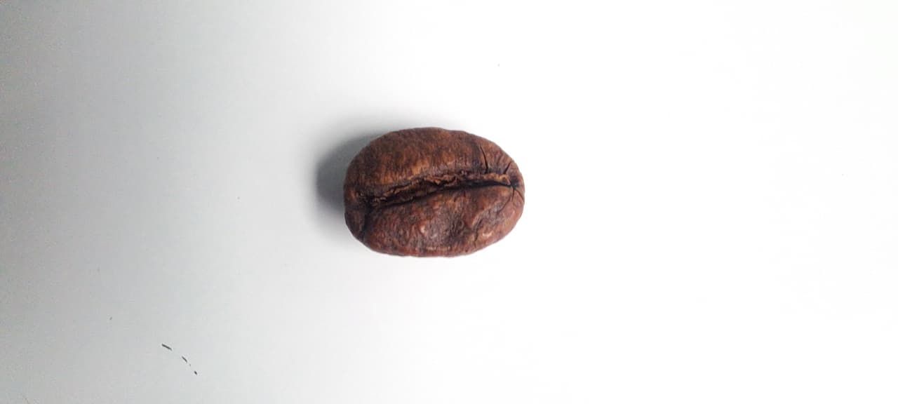 Coffee Bean
