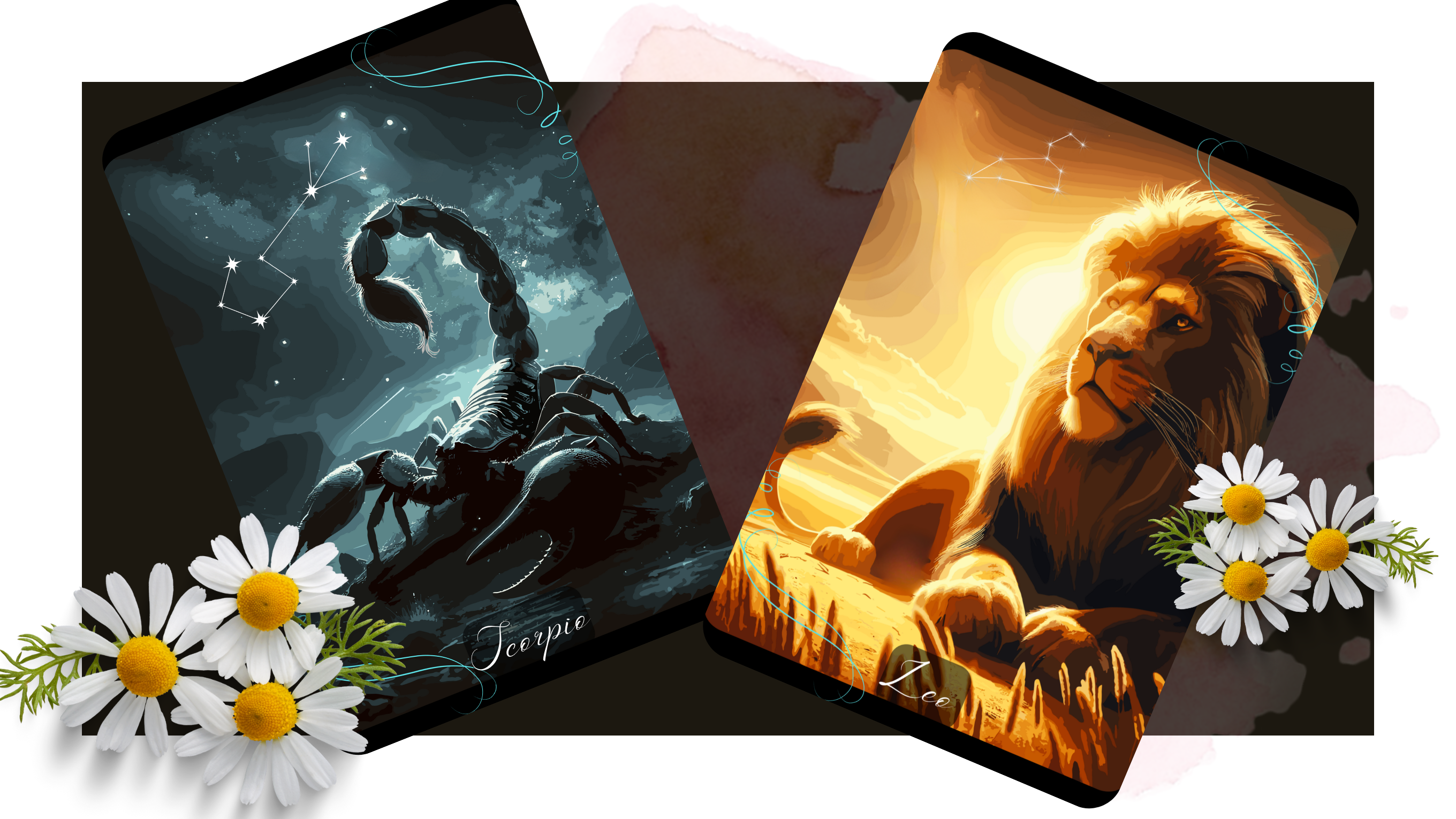 Zodiacs 12 cards