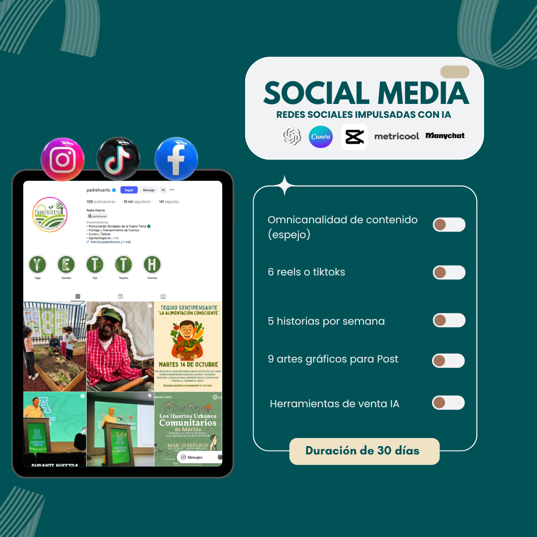Social Media Promotion Service
