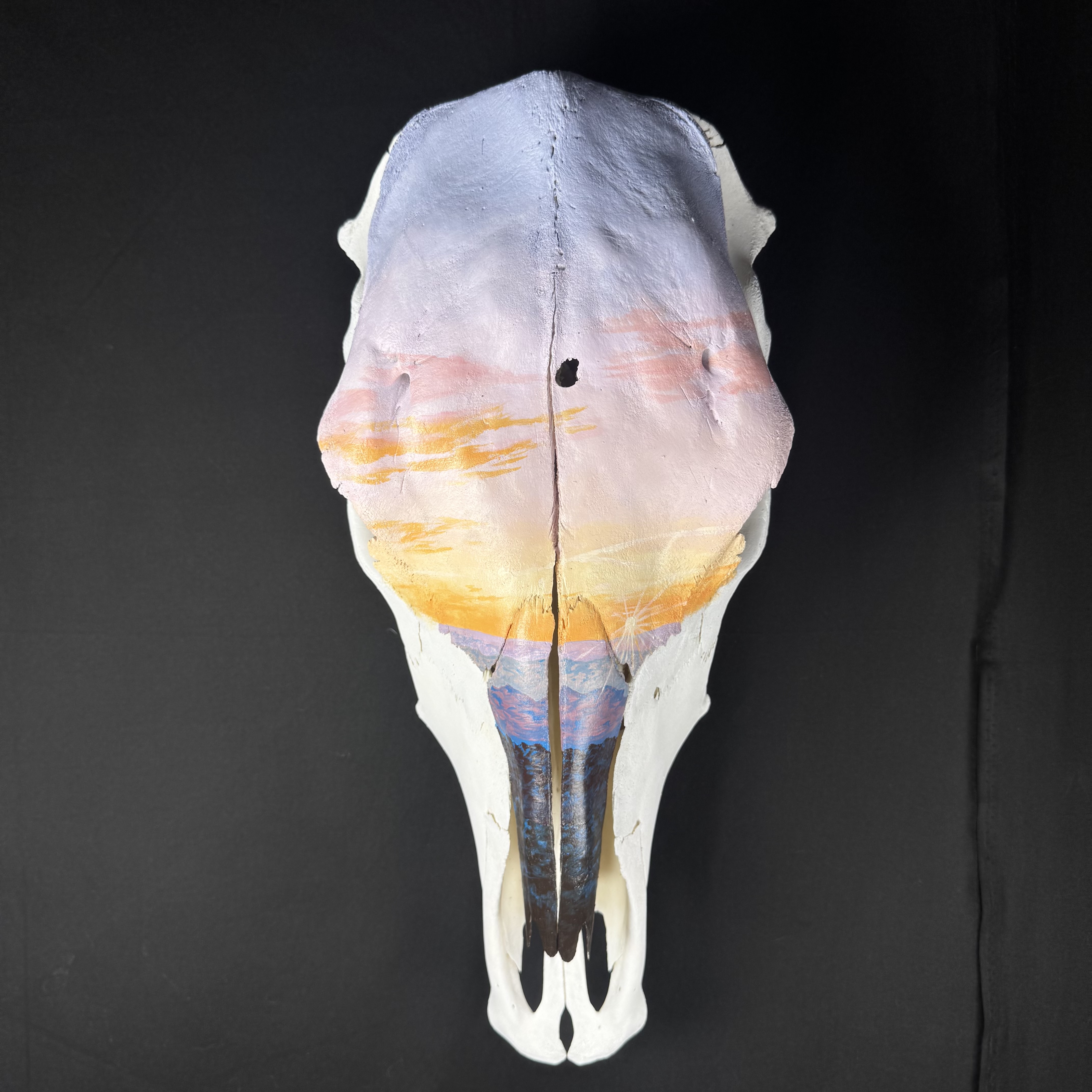 (Daybreak) Sunset Hand-Painted Animal Skull