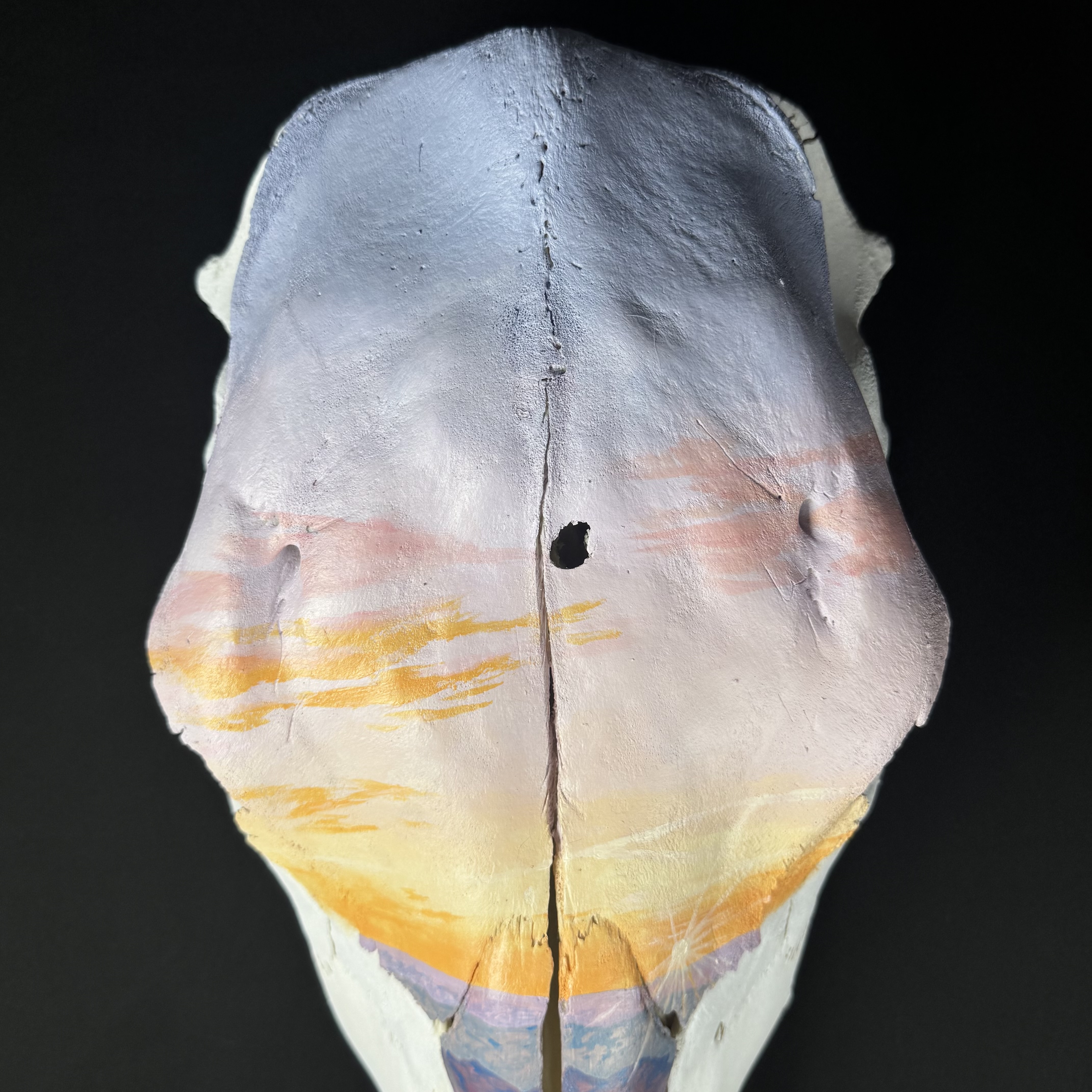 (Daybreak) Sunset Hand-Painted Animal Skull